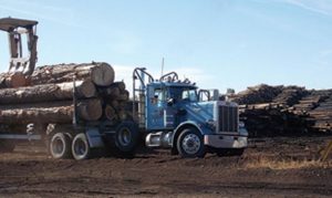 Sierra Forest Products