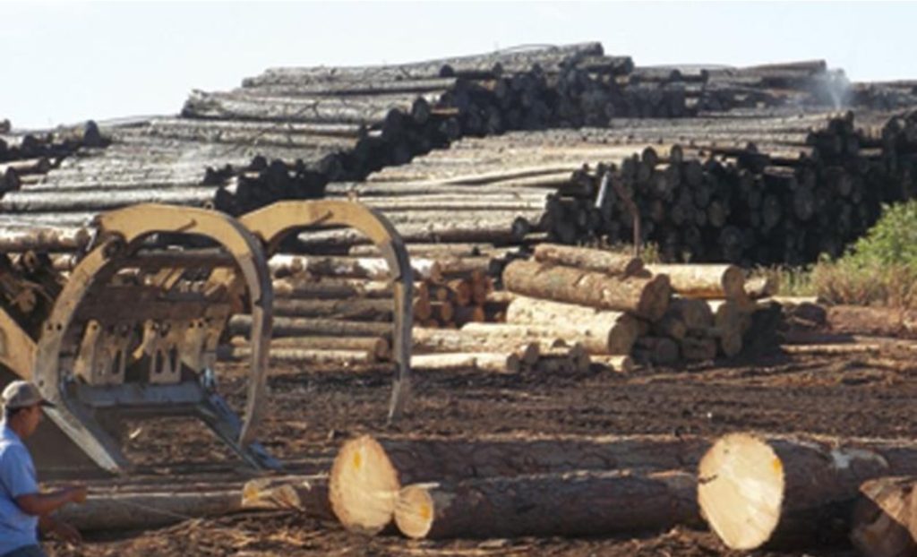 Sierra Forest Products